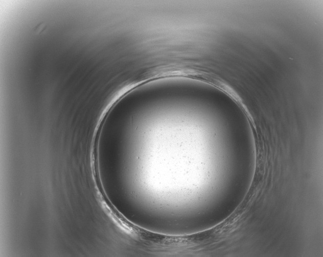 X0000061120811200511210959