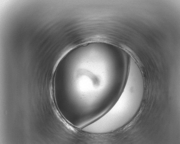 X0000061120812200511210959