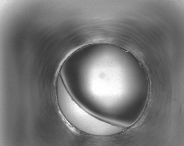 X0000061120816200511210959