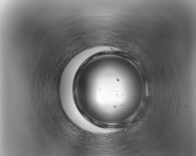 X0000061120818200511210958