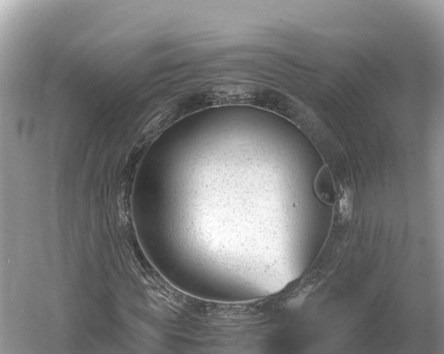 X0000061120819200511210958