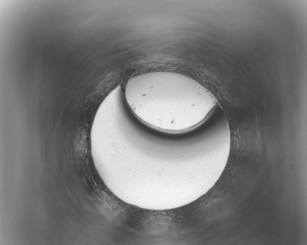 X0000061120820200511210958