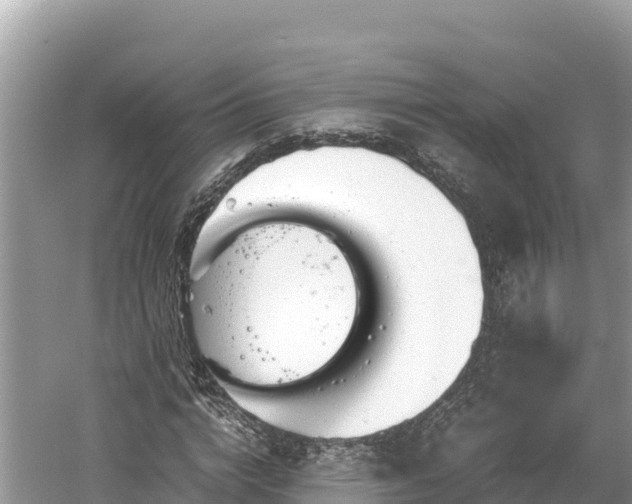 X0000061120824200511210958