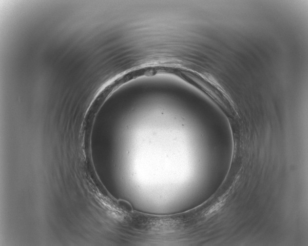 X0000061120830200511210958