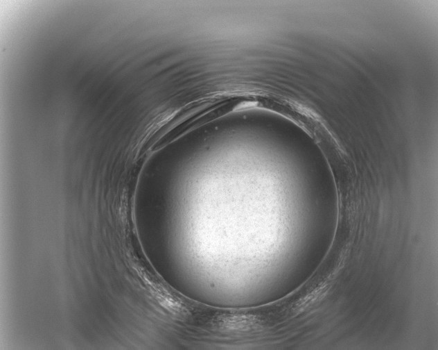 X0000061120833200511210958