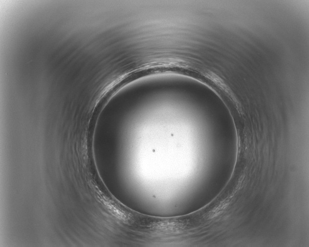 X0000061120834200511210958