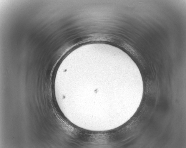 X0000061120836200511210958