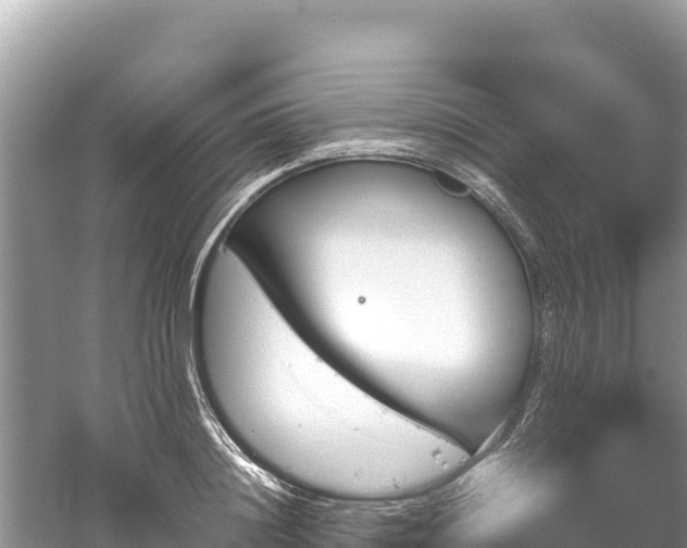 X0000061120844200511210958