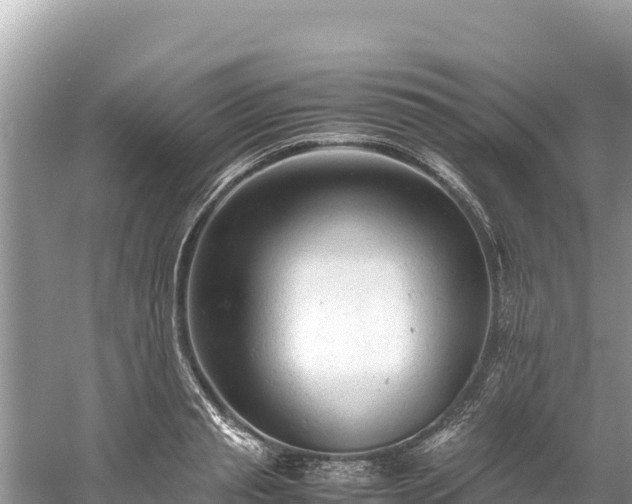 X0000061120845200511210958