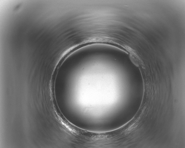 X0000061120846200511210958