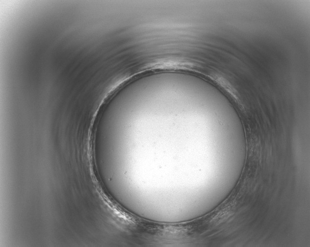 X0000061120848200511210958