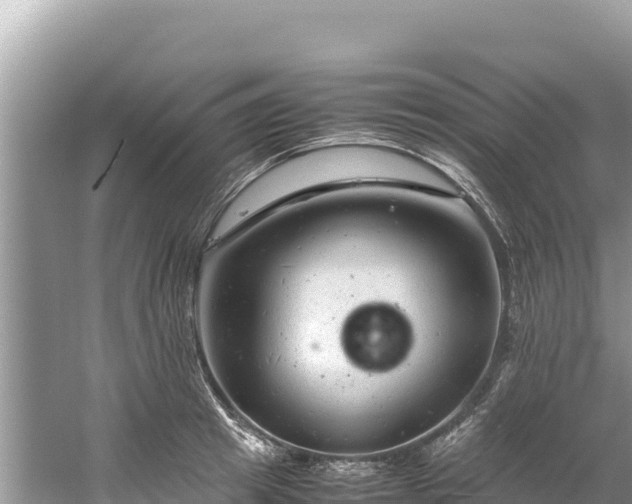 X0000061120849200511210958