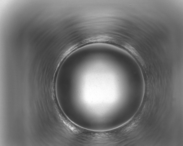 X0000061120850200511210959