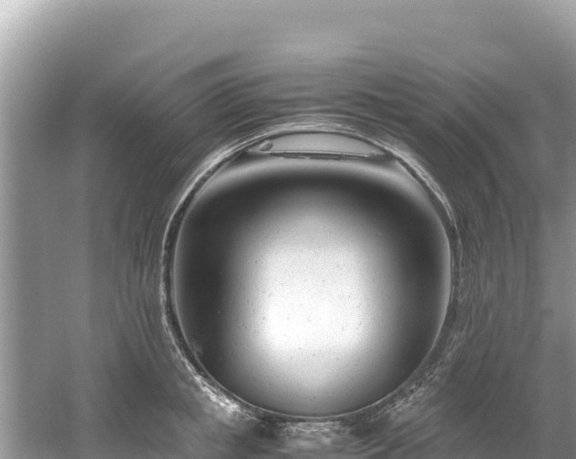 X0000061120853200511210959