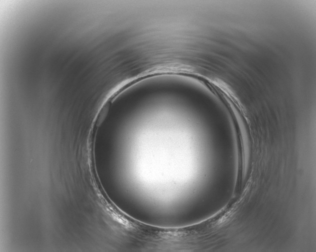 X0000061120854200511210959