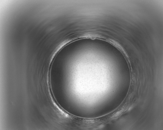 X0000061120855200511210959