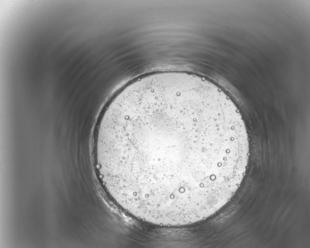 X0000061120856200511210959