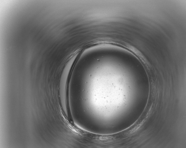 X0000061120857200511210959