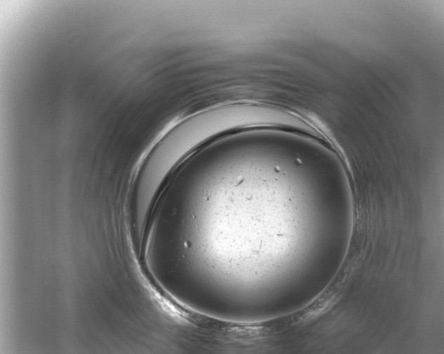 X0000061120859200511210959