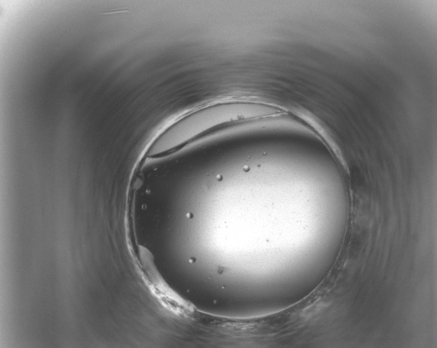 X0000061120861200511210959