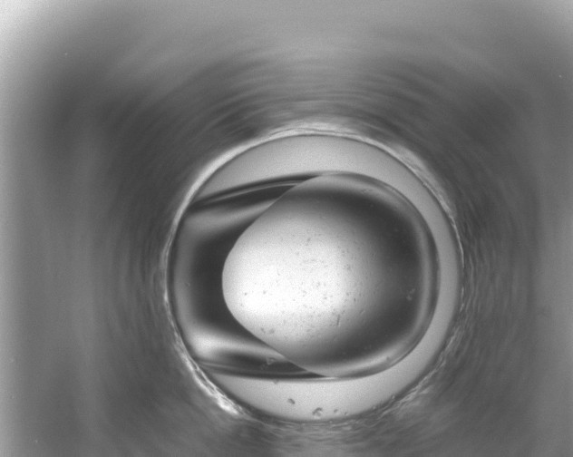 X0000061120862200511210959