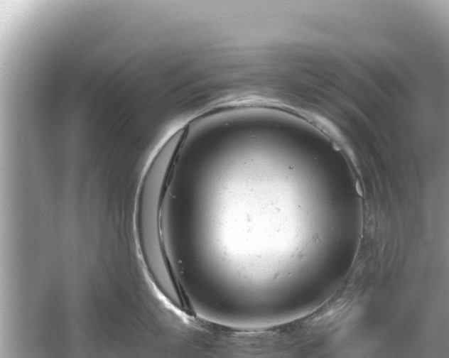 X0000061120863200511210959