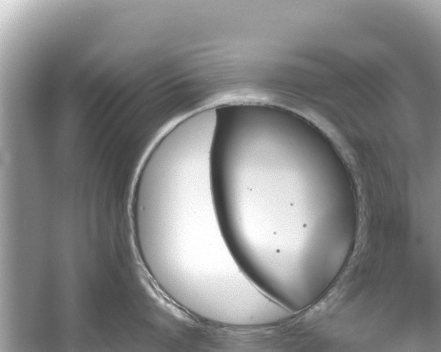 X0000061120864200511210959