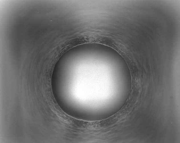 X0000061120865200511210958