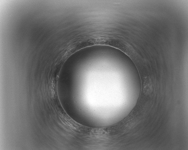 X0000061120866200511210958