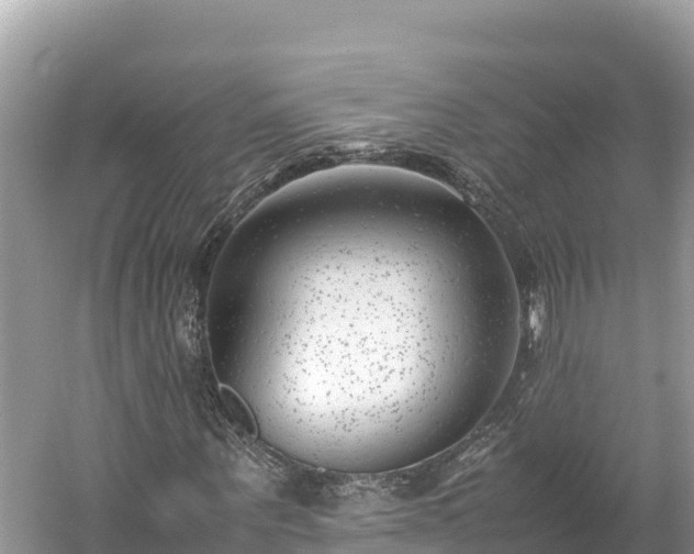 X0000061120867200511210958