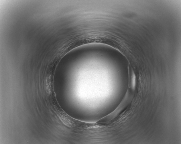 X0000061120868200511210958