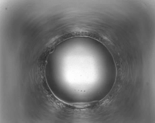 X0000061120870200511210958