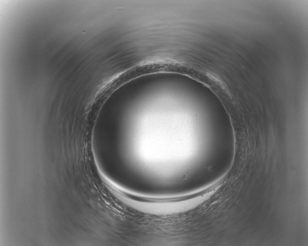 X0000061120872200511210958