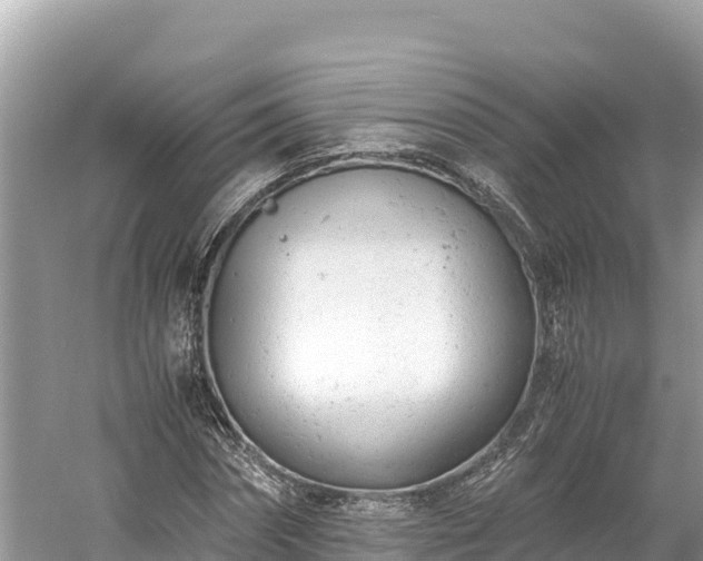 X0000061120874200511210958