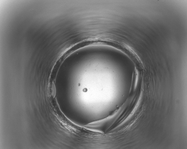 X0000061120876200511210958