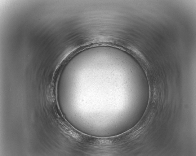 X0000061120878200511210958