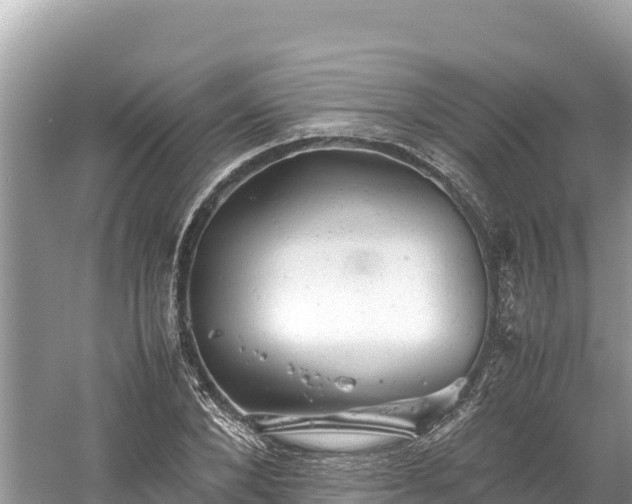 X0000061120880200511210958