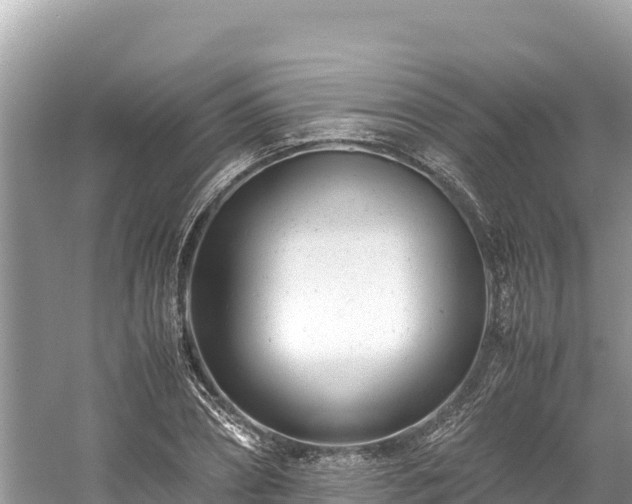 X0000061120882200511210958