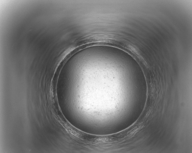 X0000061120883200511210958