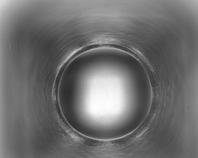 X0000061120885200511210958