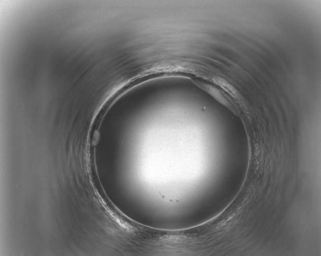 X0000061120894200511210957