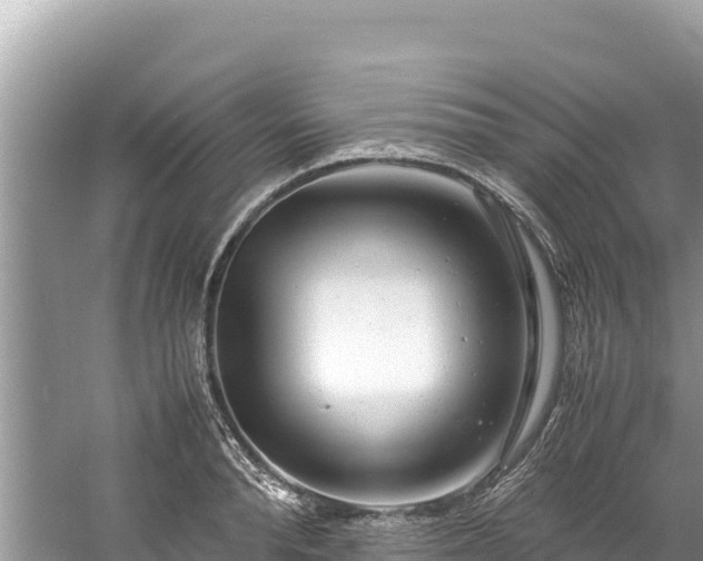 X0000061120896200511210957