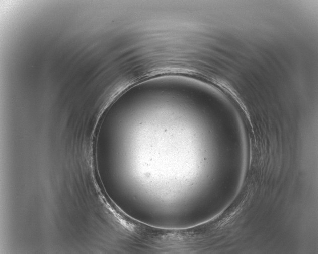 X0000061120898200511210957