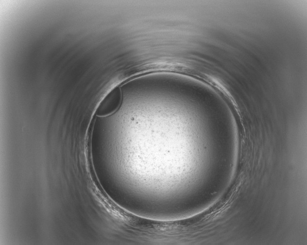 X0000061120899200511210957