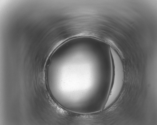 X0000061120900200511210957