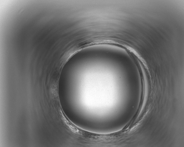 X0000061120905200511210957