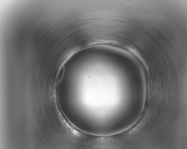 X0000061120906200511210957