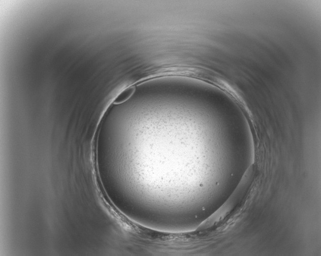 X0000061120907200511210957