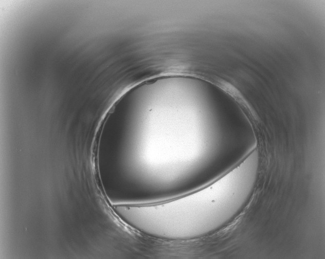 X0000061120908200511210957