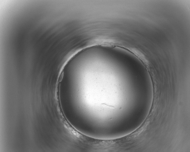 X0000061120912200511210957